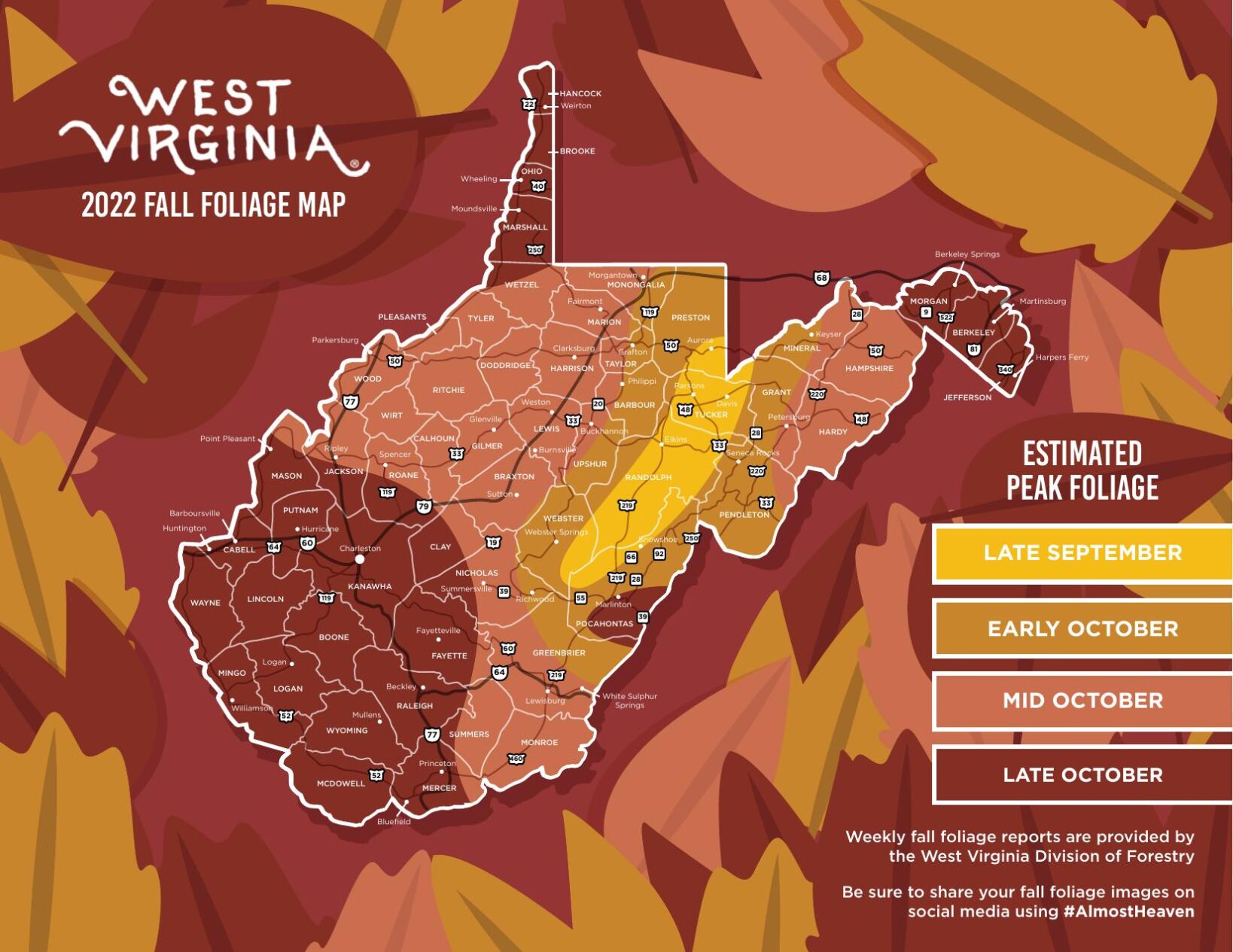 Fall foliage is here; break out your cameras and smartphones | fox43.com